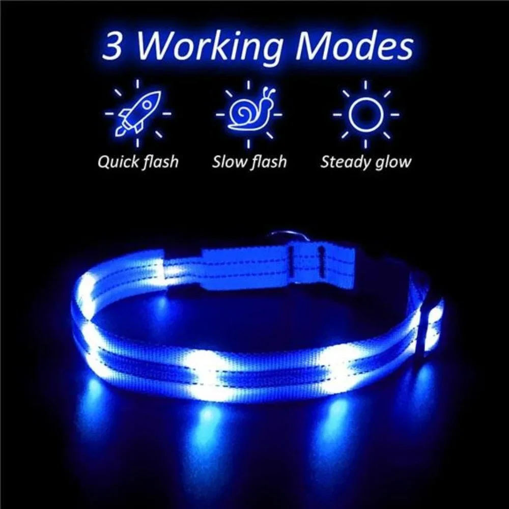 Led Dog Collar, Rechargeable Light Up Collar Waterproof, Blue